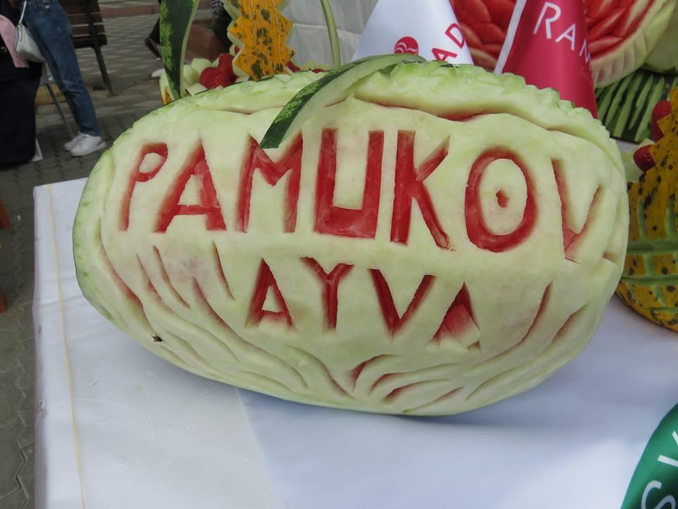 Pamukova Festivali (7).jpg