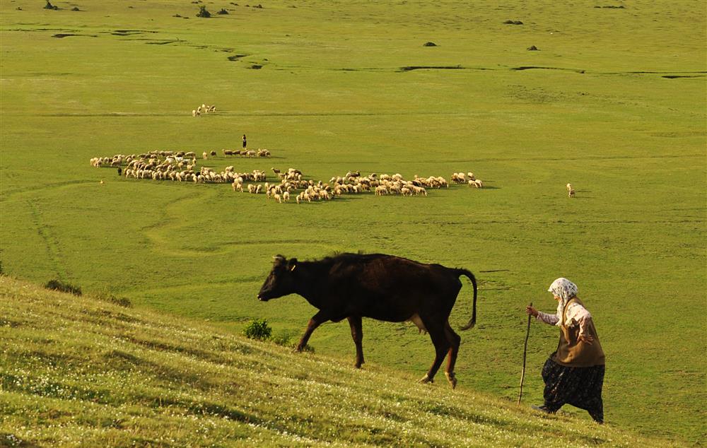 Karagöl Yaylası  3 .jpg